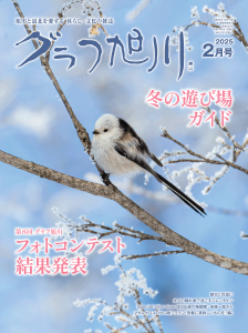 magazine
