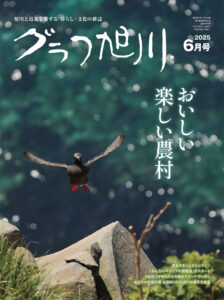 magazine