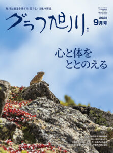 magazine